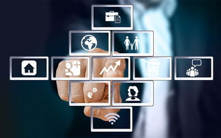 上海互聯(lián)網(wǎng)軟件集團(tuán) 引領(lǐng)高端協(xié)同管理軟件與咨詢服務(wù)新紀(jì)元