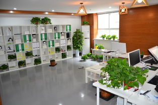 西安工程大學(xué)創(chuàng)意設(shè)計(jì)中心 打造城市文化新地標(biāo)，深耕策劃創(chuàng)意服務(wù)
